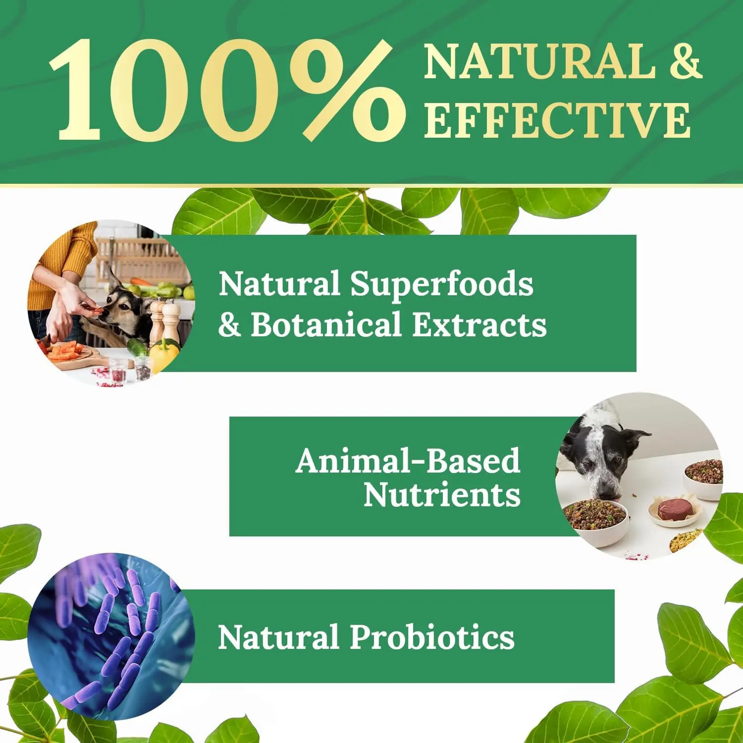 pawbiotix for dogs